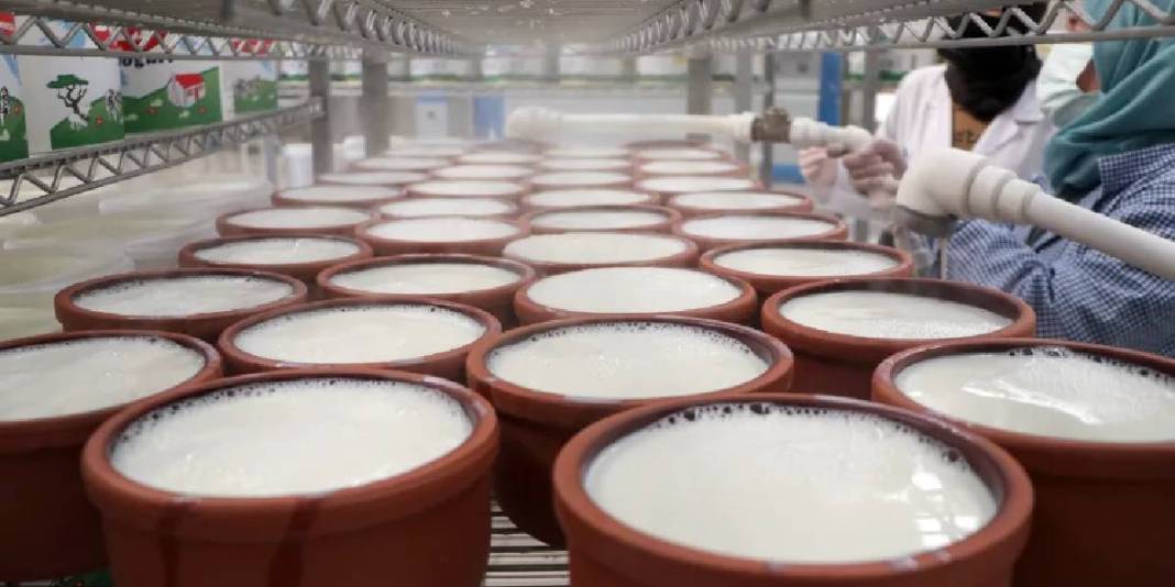 9 kadından günlük 7 ton üretim: Sütten çeşit çeşit lezzet elde ediyorlar 4